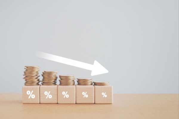 Nouvelle taxe sur les r�ductions de capital : conforme � la Constitution ?