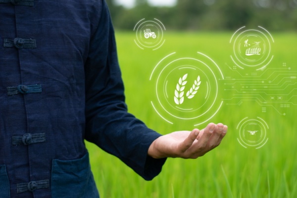 Agriculture : un droit � l�essai effectif ! 