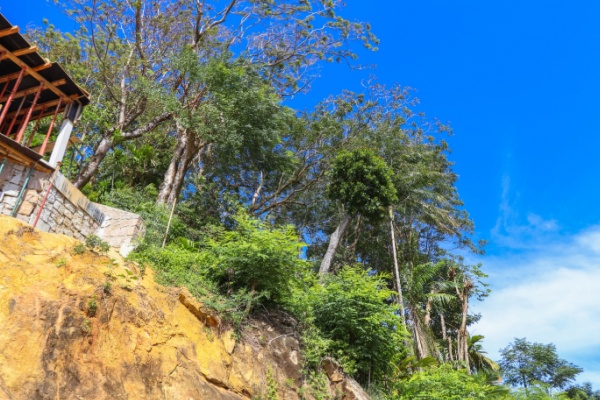 Mayotte : de nouvelles d�rogations pour acc�l�rer la reconstruction