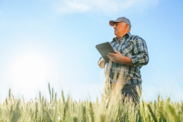 Retraite agricole : le point RCO revaloris� en 2025