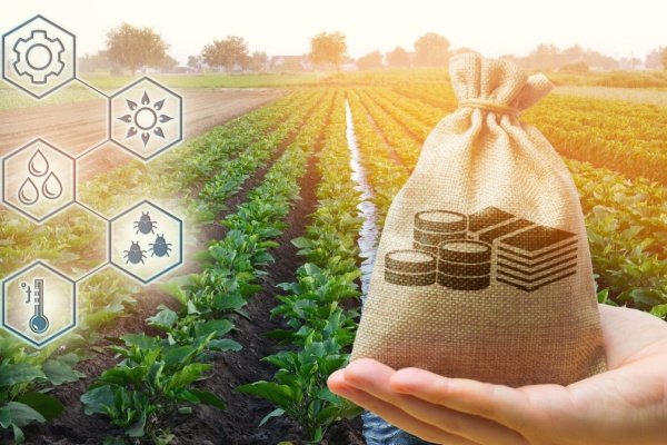 Agriculture � Saint-Pierre-et-Miquelon : une aide � l�installation possible