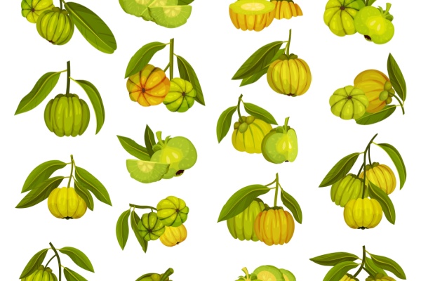 Garcinia cambogia : une interdiction temporaire toujours d�actualit� ?  