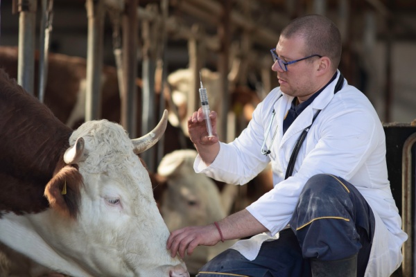 Agriculture : le point sur les �pid�mies