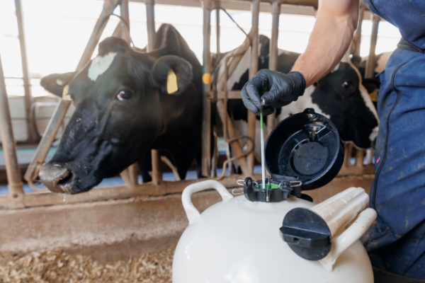 Ins�mination artificielle : harmonisation des d�marches