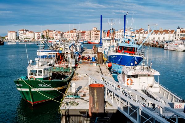 Retour de p�che : des obligations d�claratives � respecter