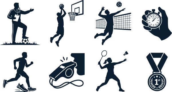 Organisation, gestion et financement du sport professionnel : r�forme en cours