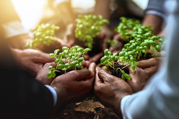 Soutien aux exploitations agricoles en difficult�s : des aides possibles