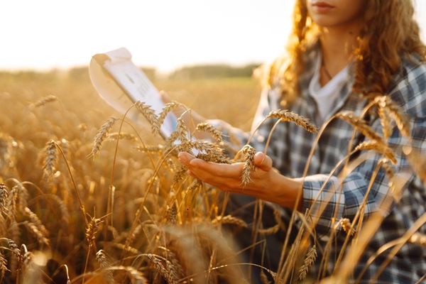 Non-salari�s agricoles : des nouvelles r�gles sociales pr�cis�es