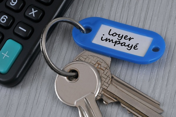 Expulsion locative pour impay� : r�alisation obligatoire d�un diagnostic social et financier