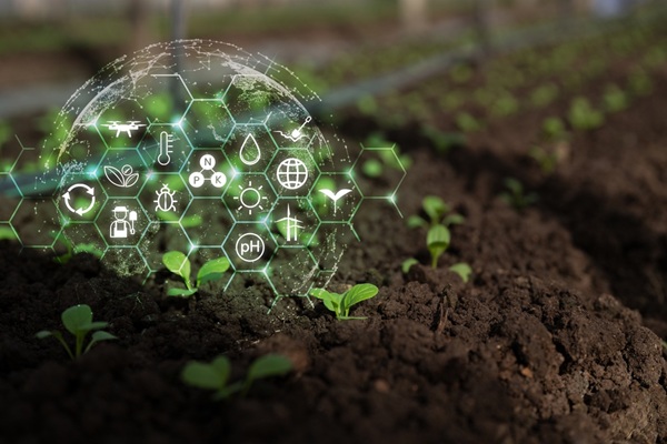 Agriculture : qui pilote la strat�gie nationale d�installation et de transmission ?
