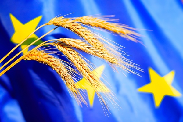 Bonnes conditions agricoles et environnementales : une nouvelle d�finition de la haie